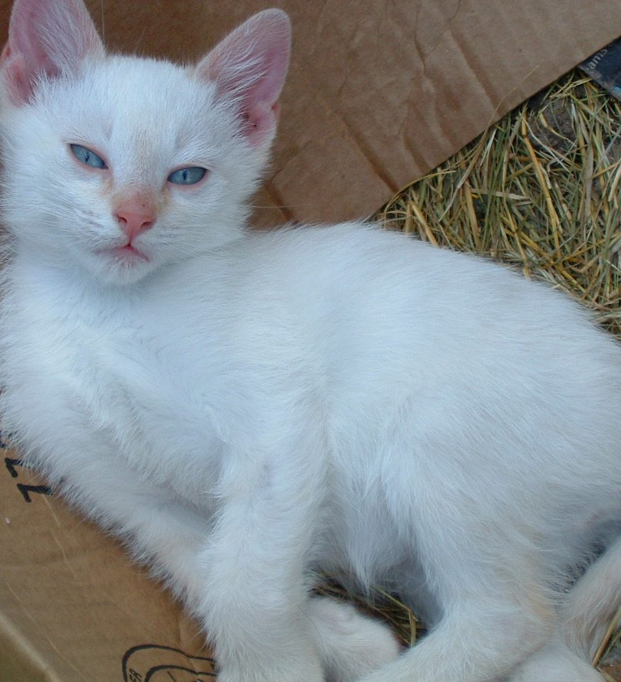 Big Things Really Are Found In The Smallest Packages 061619