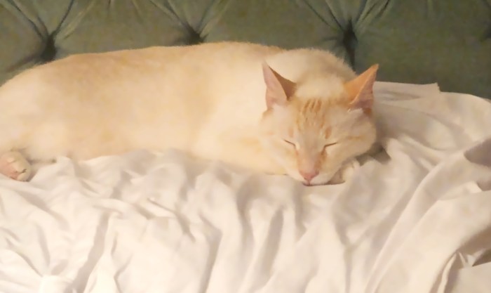 Bluesoph's Monday evening wind down